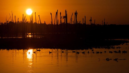 Wetlands Sunrise